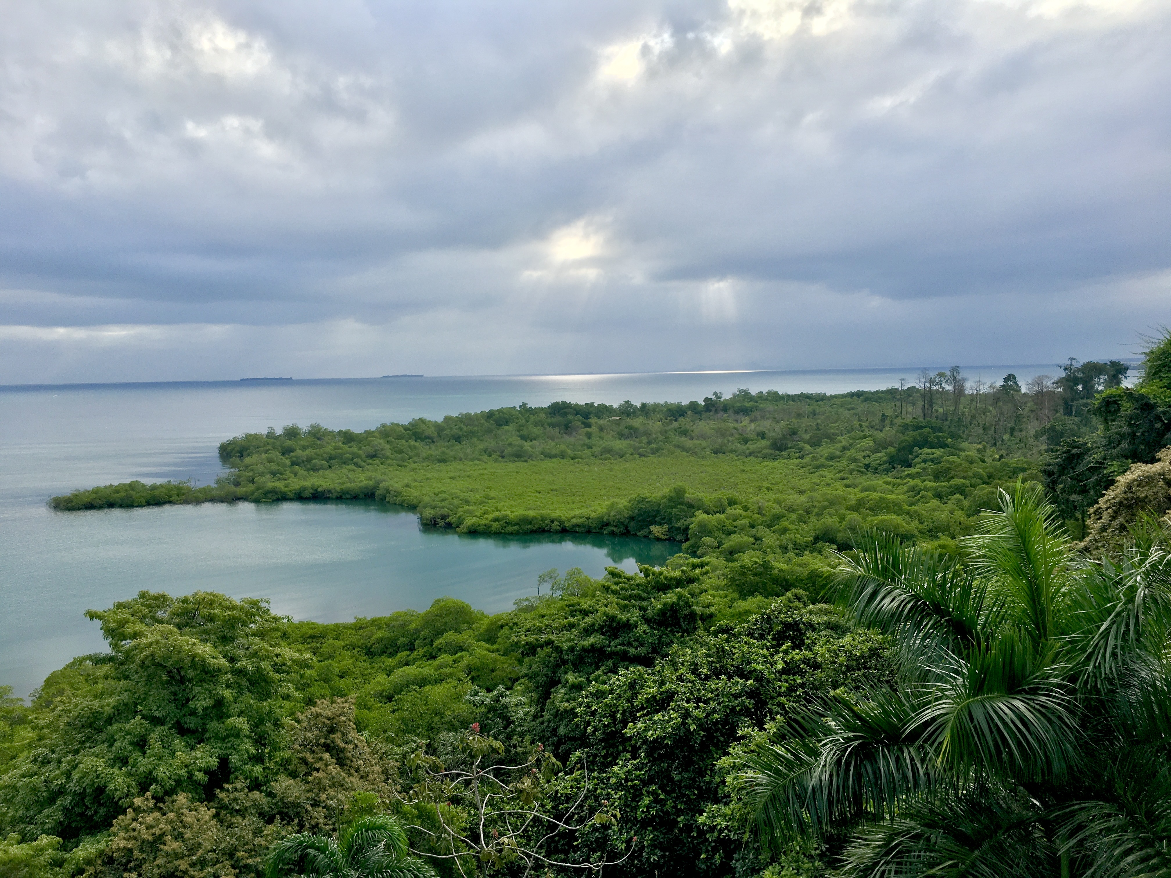 Thankful and Simply in Awe of Nature