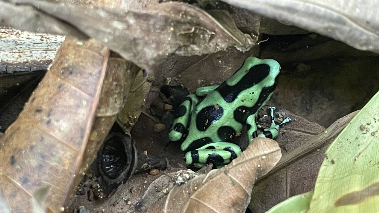 The Wild Nature of Loma Partida Aqua Lodge