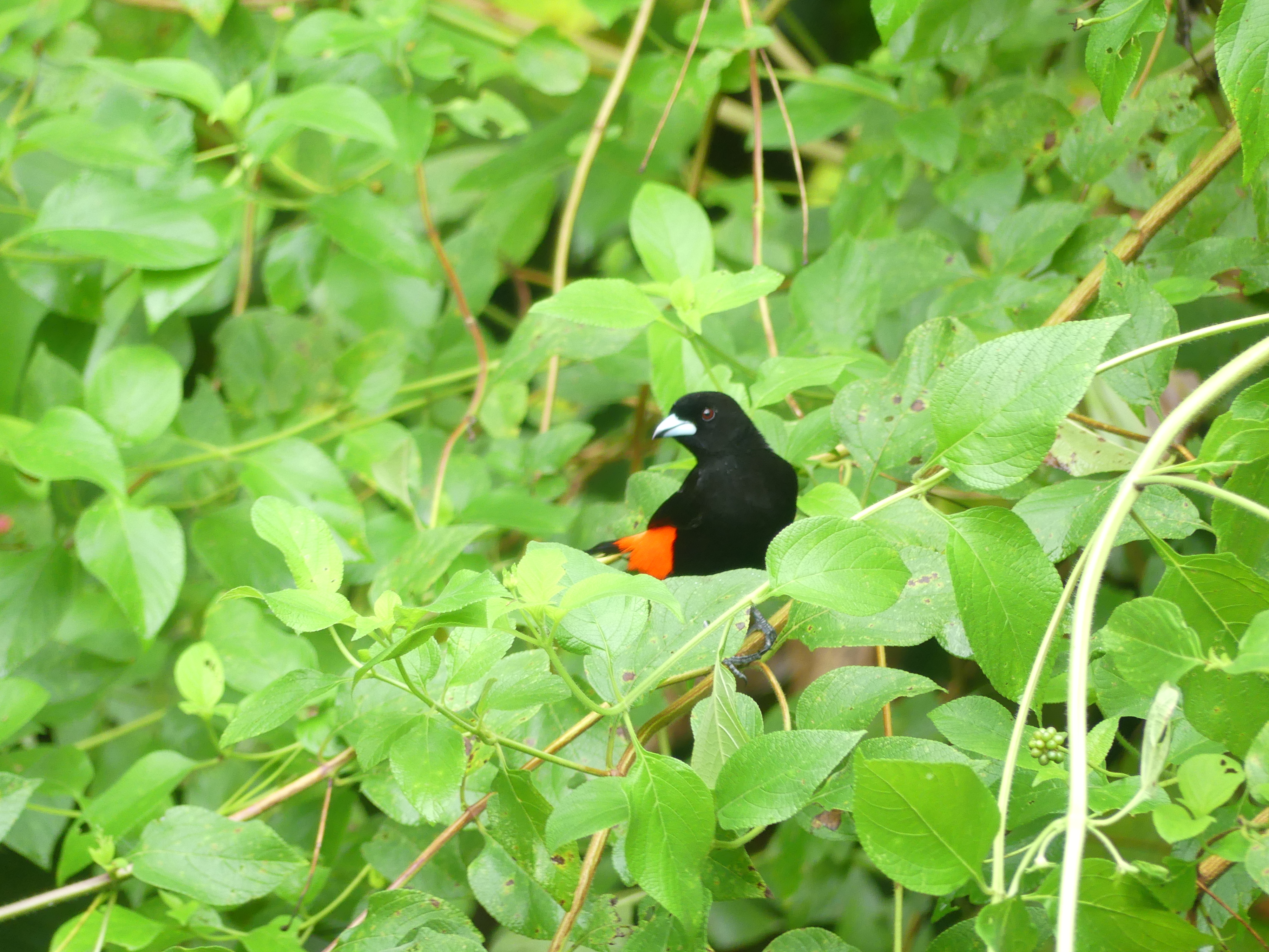 October Big Day 2024!